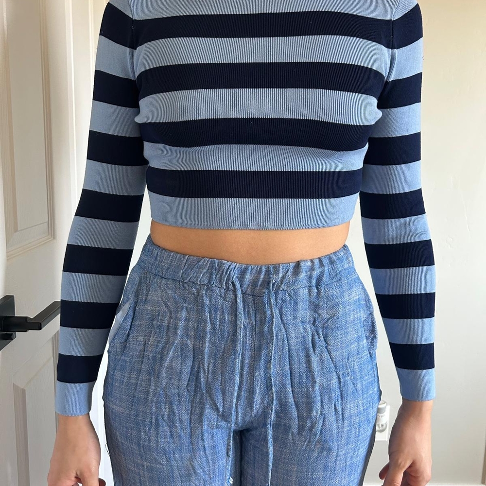 Zara Blue and Gray Striped Crop Top